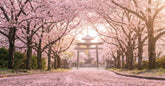 Allee de cerisiers en fleurs avec torii rouge au Japon, petales sakura tombants au printemps