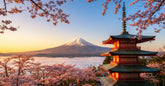 Mont Fuji enneige et pagode Chureito rouge entoures de cerisiers en fleurs au Japon